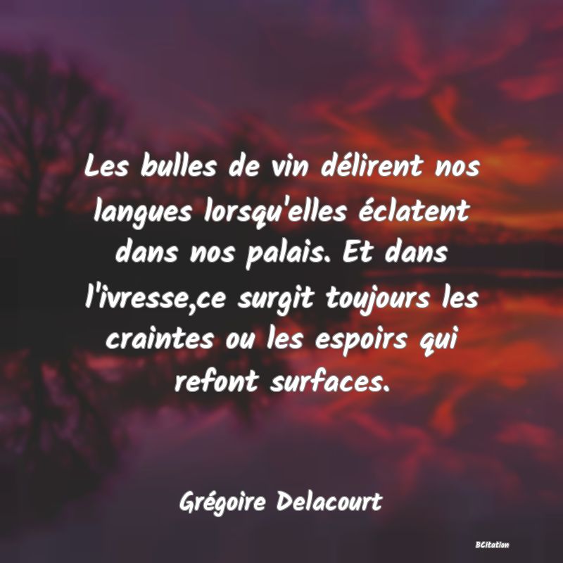 image de citation: Les bulles de vin délirent nos langues lorsqu'elles éclatent dans nos palais. Et dans l'ivresse,ce surgit toujours les craintes ou les espoirs qui refont surfaces.