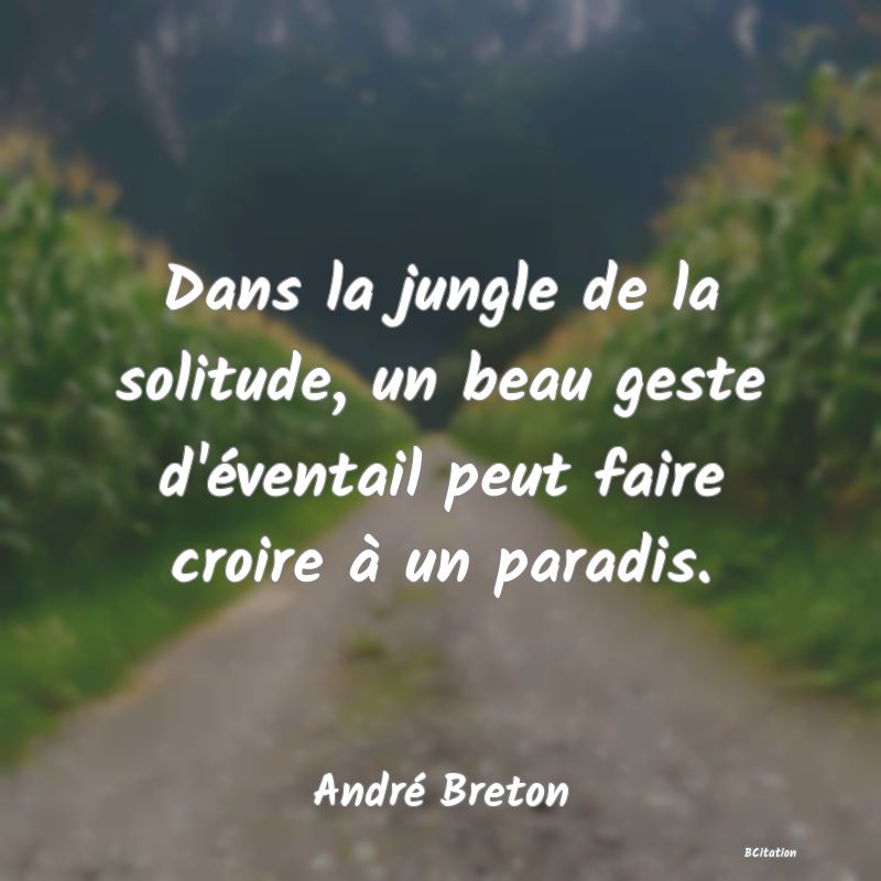 image de citation: Dans la jungle de la solitude, un beau geste d'éventail peut faire croire à un paradis.