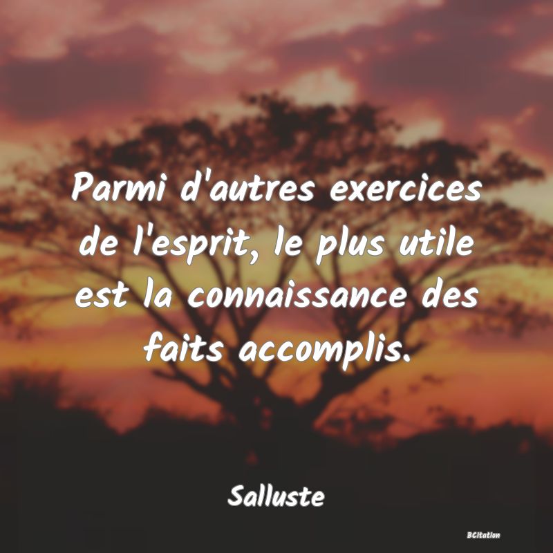 image de citation: Parmi d'autres exercices de l'esprit, le plus utile est la connaissance des faits accomplis.