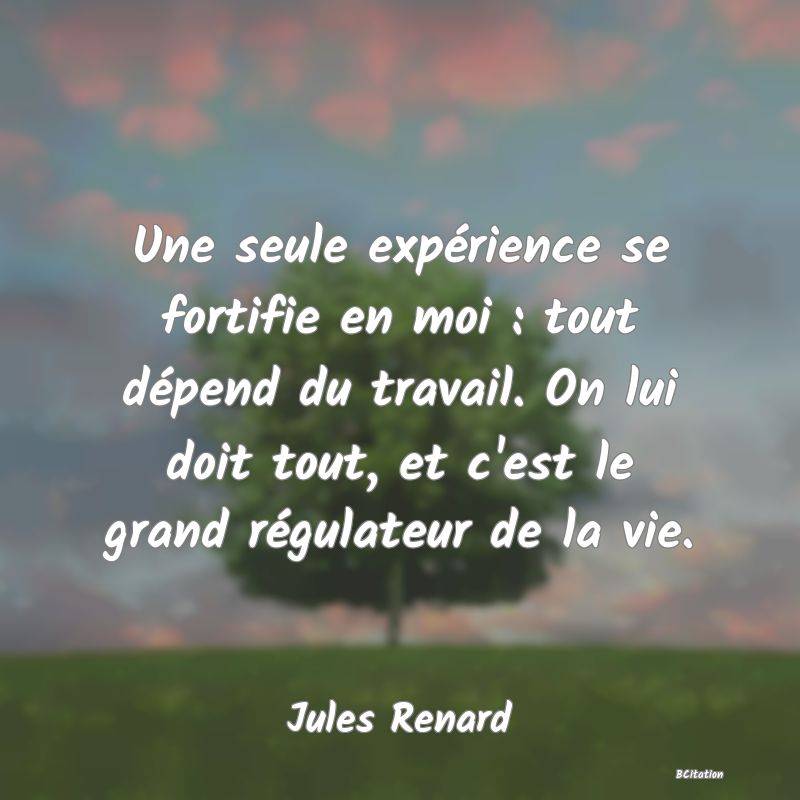 image de citation: Une seule expérience se fortifie en moi : tout dépend du travail. On lui doit tout, et c'est le grand régulateur de la vie.