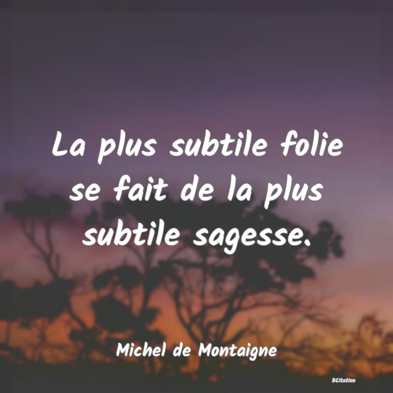 image de citation: La plus subtile folie se fait de la plus subtile sagesse.