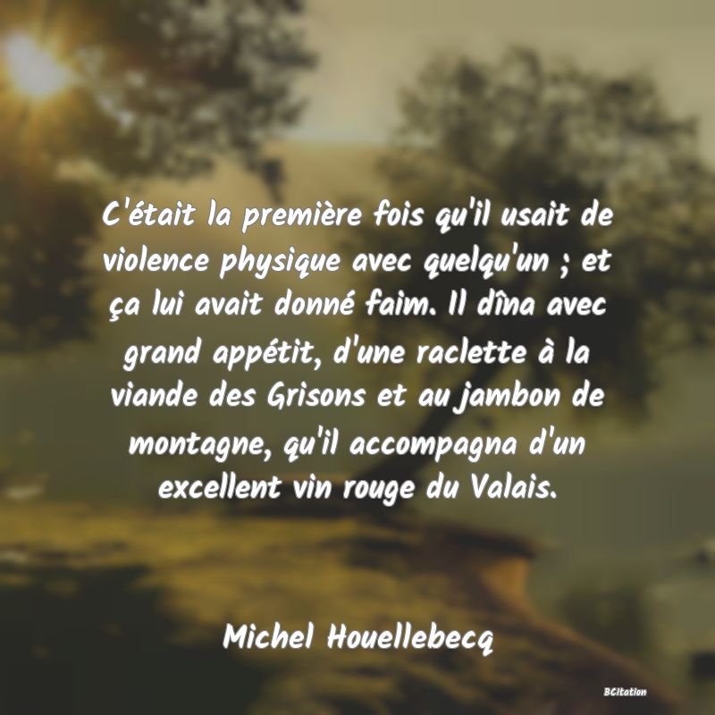 image de citation: C'était la première fois qu'il usait de violence physique avec quelqu'un ; et ça lui avait donné faim. Il dîna avec grand appétit, d'une raclette à la viande des Grisons et au jambon de montagne, qu'il accompagna d'un excellent vin rouge du Valais.