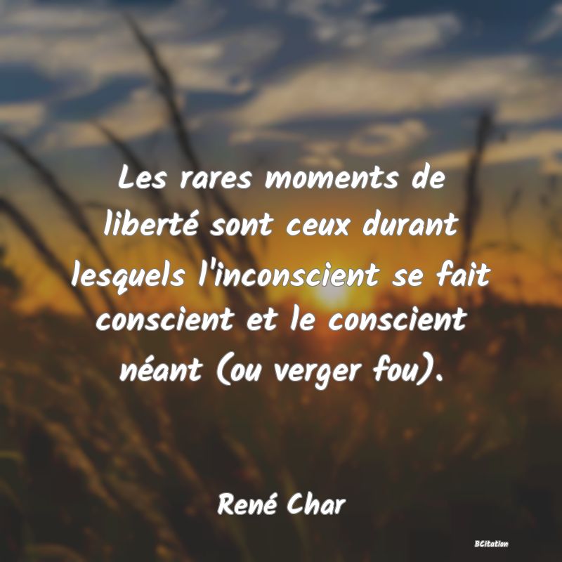 image de citation: Les rares moments de liberté sont ceux durant lesquels l'inconscient se fait conscient et le conscient néant (ou verger fou).