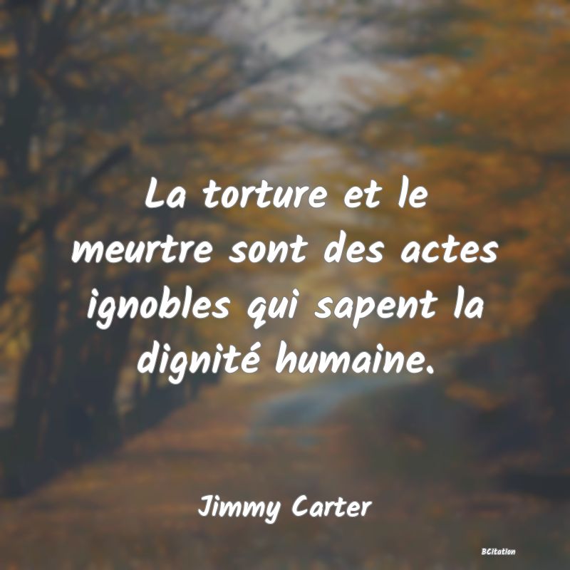 image de citation: La torture et le meurtre sont des actes ignobles qui sapent la dignité humaine.