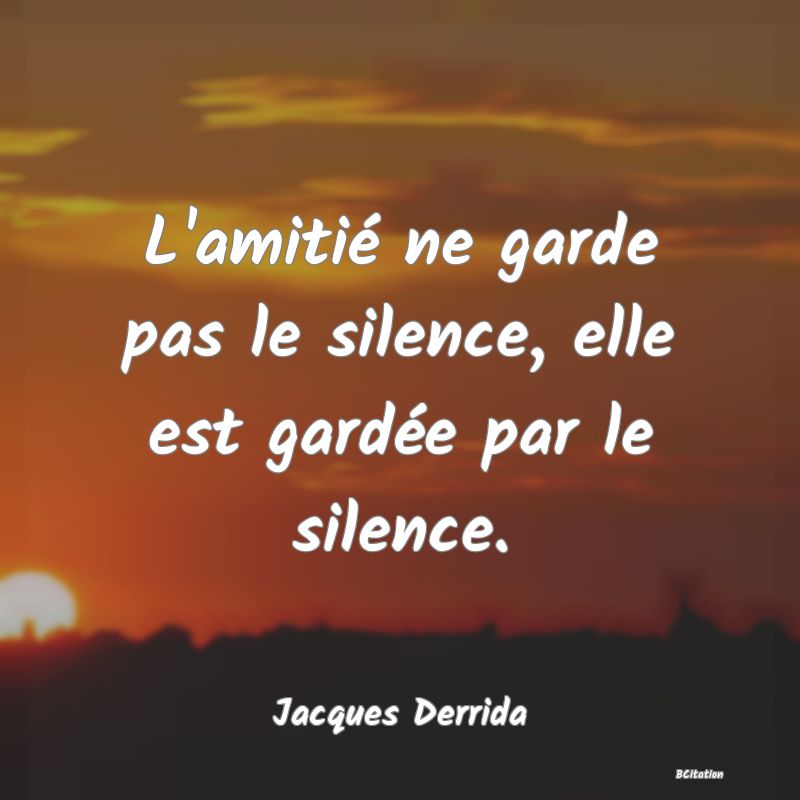 image de citation: L'amitié ne garde pas le silence, elle est gardée par le silence.