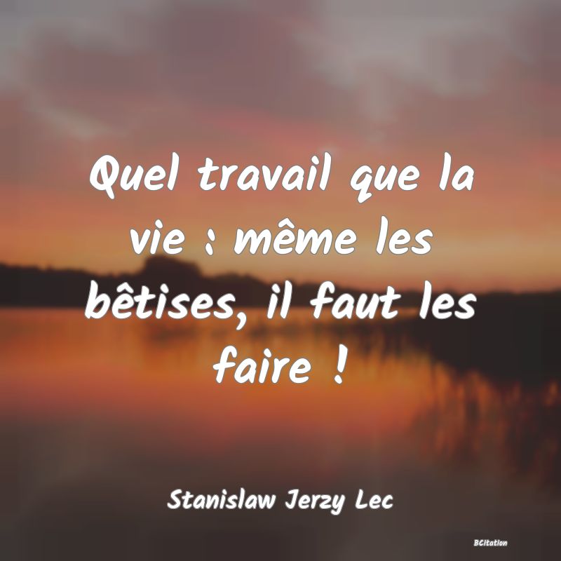 image de citation: Quel travail que la vie : même les bêtises, il faut les faire !