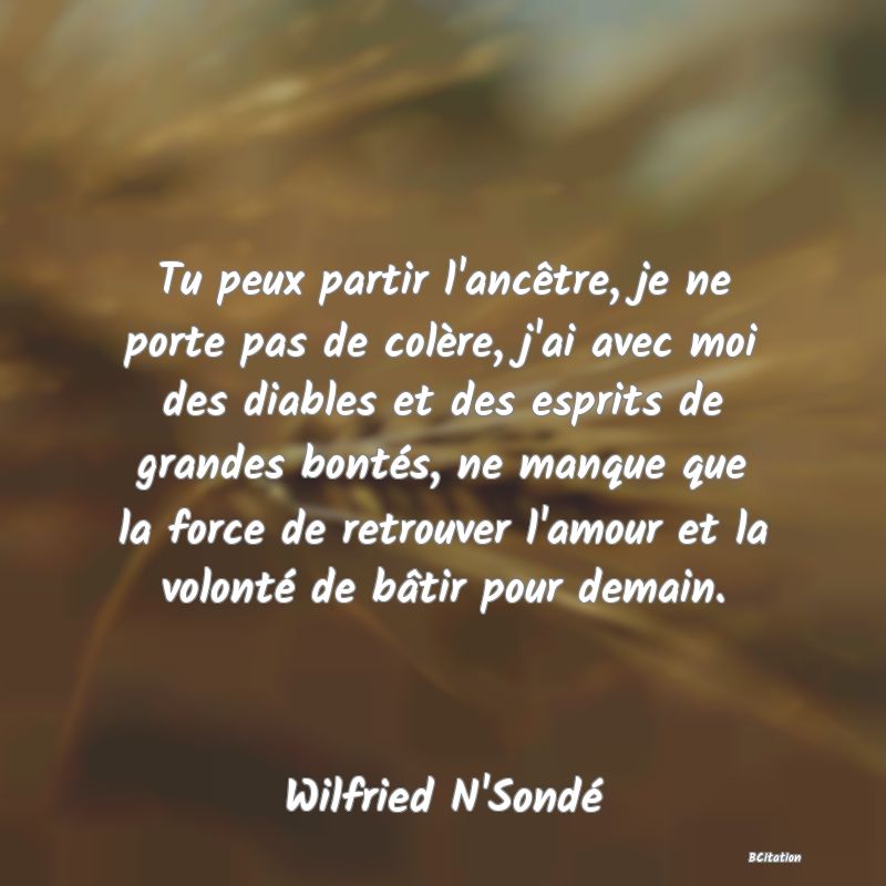 image de citation: Tu peux partir l'ancêtre, je ne porte pas de colère, j'ai avec moi des diables et des esprits de grandes bontés, ne manque que la force de retrouver l'amour et la volonté de bâtir pour demain.