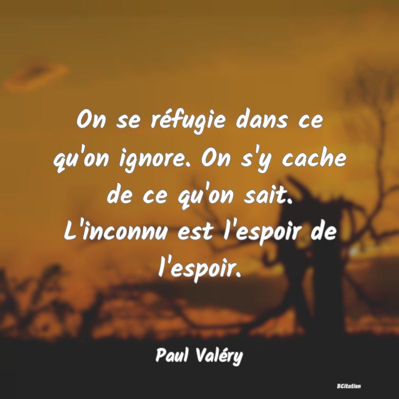 image de citation: On se réfugie dans ce qu'on ignore. On s'y cache de ce qu'on sait. L'inconnu est l'espoir de l'espoir.