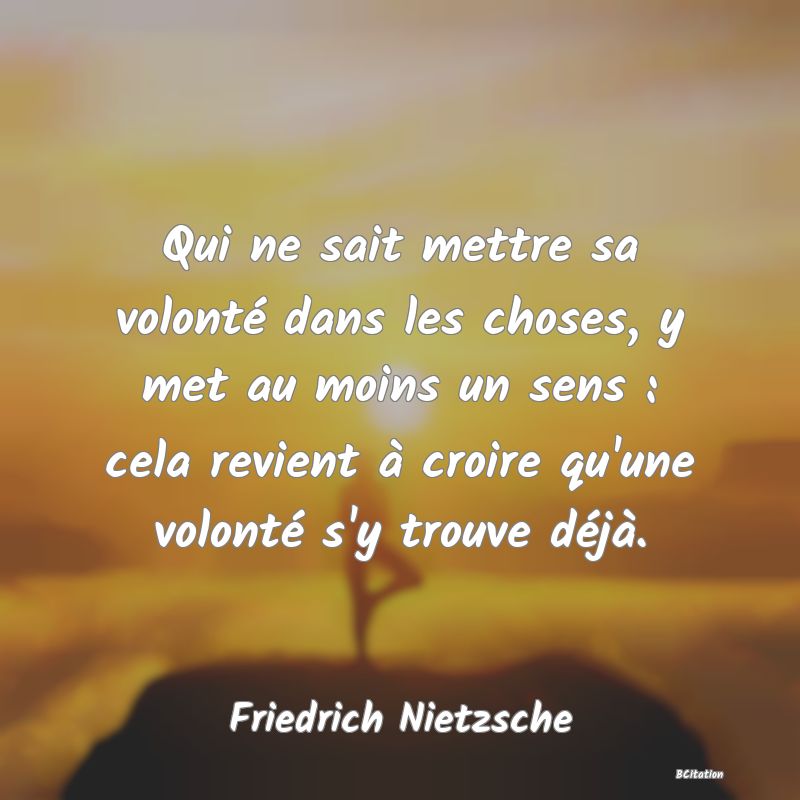 image de citation: Qui ne sait mettre sa volonté dans les choses, y met au moins un sens : cela revient à croire qu'une volonté s'y trouve déjà.