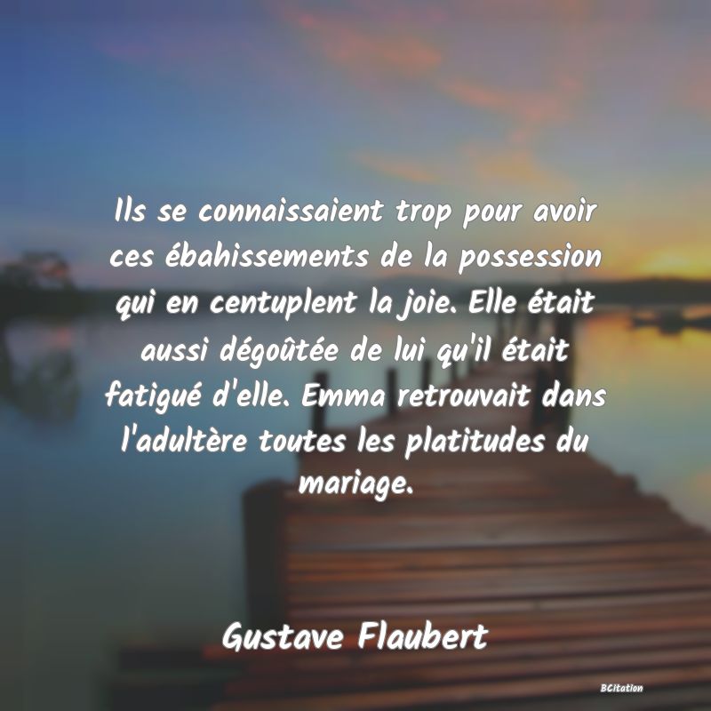 image de citation: Ils se connaissaient trop pour avoir ces ébahissements de la possession qui en centuplent la joie. Elle était aussi dégoûtée de lui qu'il était fatigué d'elle. Emma retrouvait dans l'adultère toutes les platitudes du mariage.