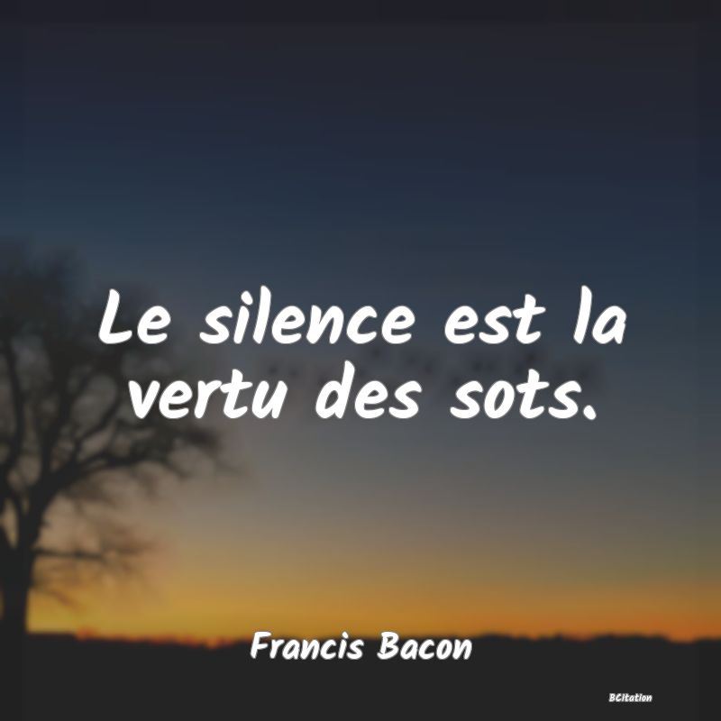 image de citation: Le silence est la vertu des sots.
