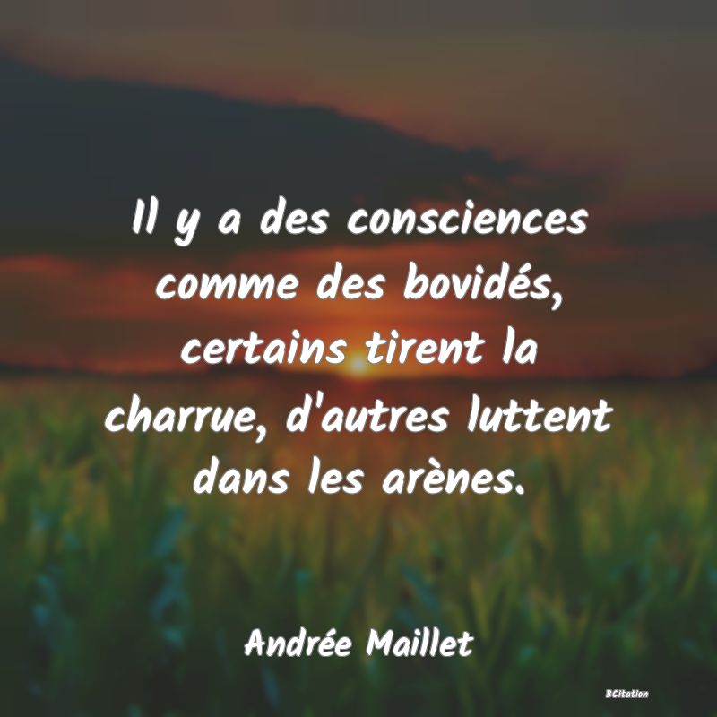 image de citation: Il y a des consciences comme des bovidés, certains tirent la charrue, d'autres luttent dans les arènes.