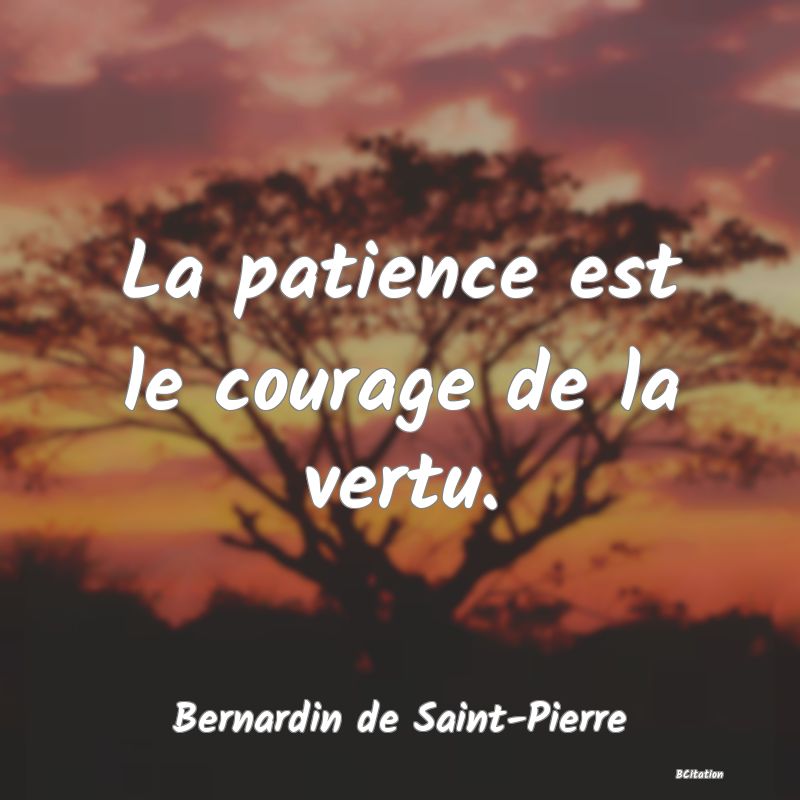 image de citation: La patience est le courage de la vertu.