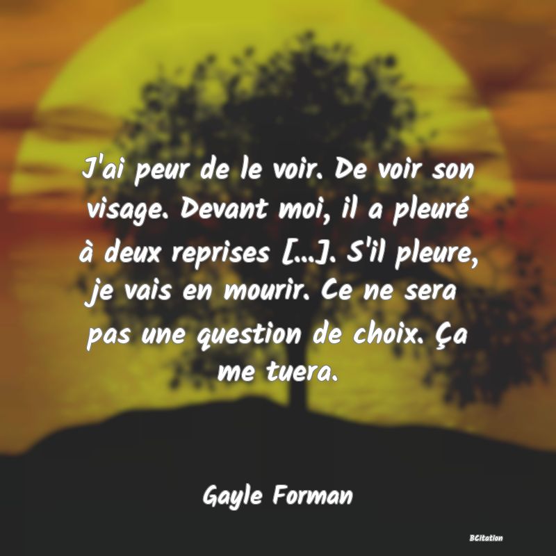 image de citation: J'ai peur de le voir. De voir son visage. Devant moi, il a pleuré à deux reprises [...]. S'il pleure, je vais en mourir. Ce ne sera pas une question de choix. Ça me tuera.