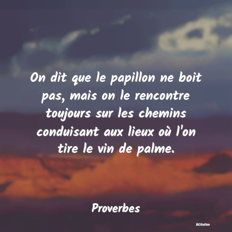 image de citation: On dit que le papillon ne boit pas, mais on le rencontre toujours sur les chemins conduisant aux lieux où l'on tire le vin de palme.