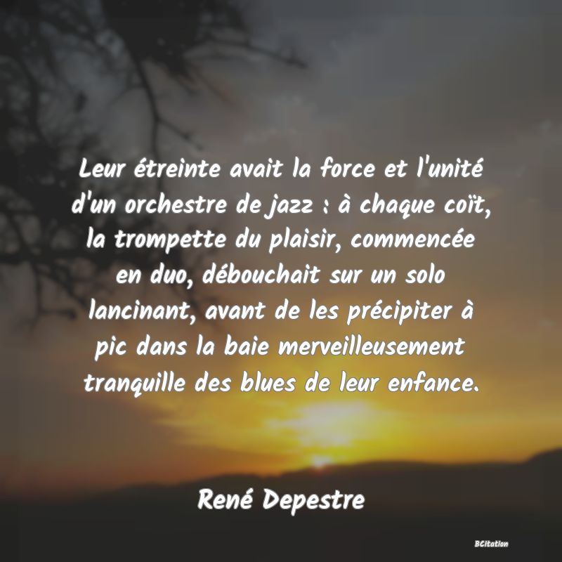 image de citation: Leur étreinte avait la force et l'unité d'un orchestre de jazz : à chaque coït, la trompette du plaisir, commencée en duo, débouchait sur un solo lancinant, avant de les précipiter à pic dans la baie merveilleusement tranquille des blues de leur enfance.