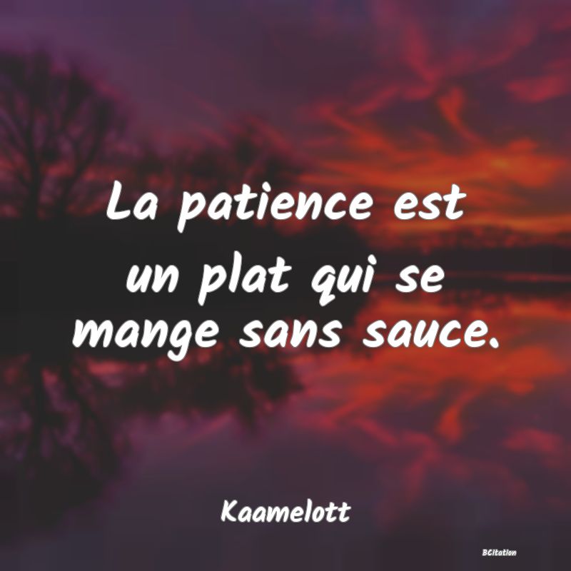 image de citation: La patience est un plat qui se mange sans sauce.