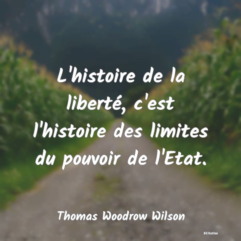 image de citation: L'histoire de la liberté, c'est l'histoire des limites du pouvoir de l'Etat.