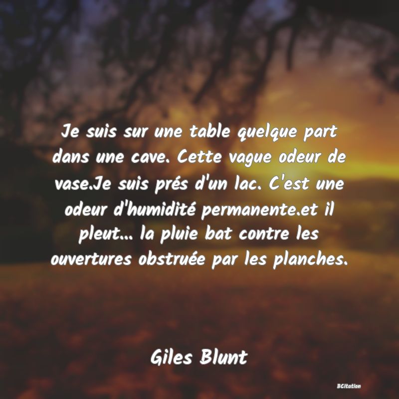 Belle Citation - Je suis sur une table quelque part dans une cave. Cette vague odeur de vase.Je suis prés d'un lac. C'est une odeur d'humidité permanente.et il pleut... la pluie bat contre les ouvertures obstruée par les planches. - Giles Blunt