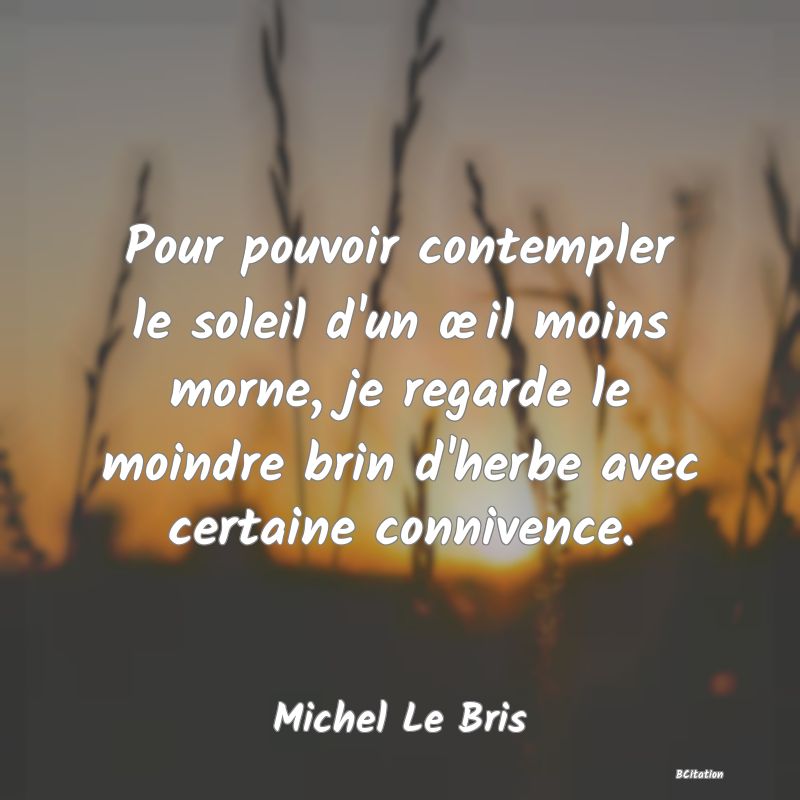 image de citation: Pour pouvoir contempler le soleil d'un œil moins morne, je regarde le moindre brin d'herbe avec certaine connivence.