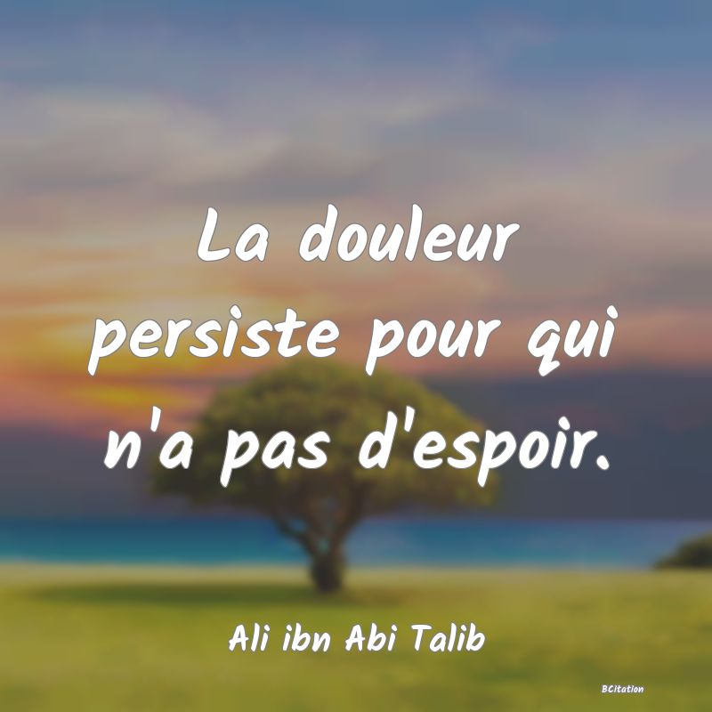 image de citation: La douleur persiste pour qui n'a pas d'espoir.