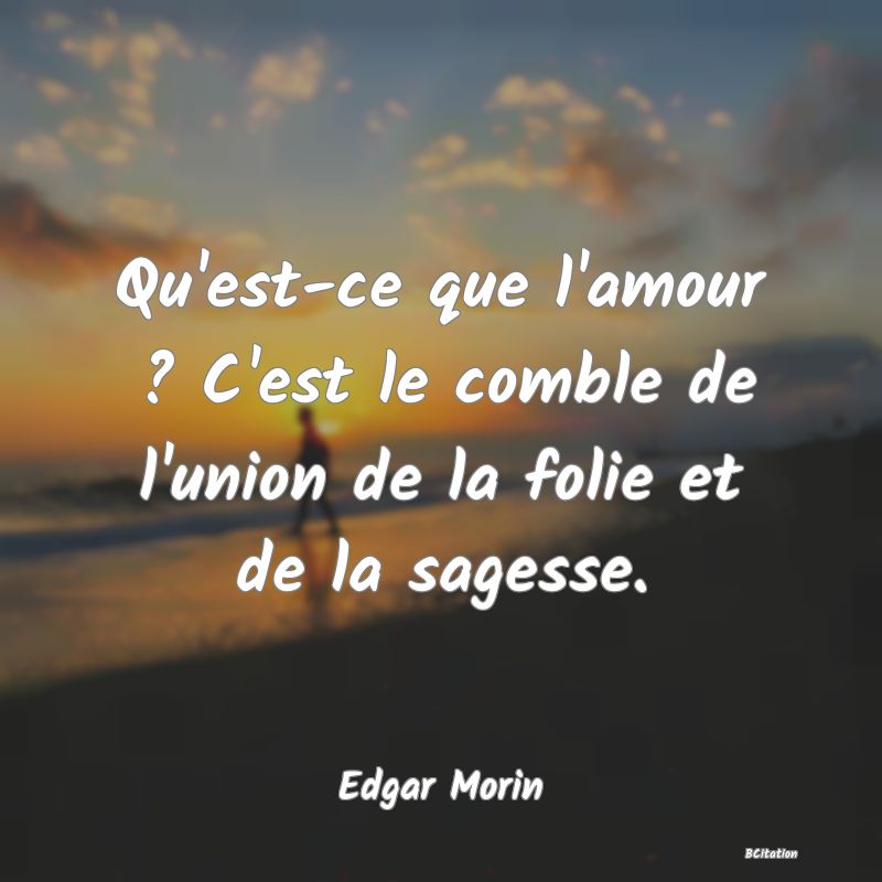 image de citation: Qu'est-ce que l'amour ? C'est le comble de l'union de la folie et de la sagesse.