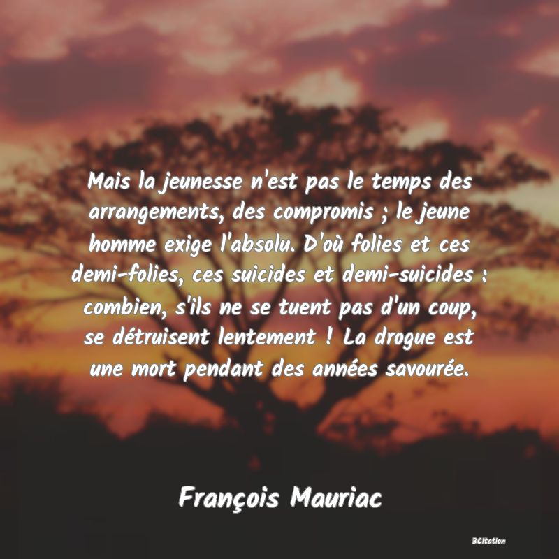 image de citation: Mais la jeunesse n'est pas le temps des arrangements, des compromis ; le jeune homme exige l'absolu. D'où folies et ces demi-folies, ces suicides et demi-suicides : combien, s'ils ne se tuent pas d'un coup, se détruisent lentement ! La drogue est une mort pendant des années savourée.