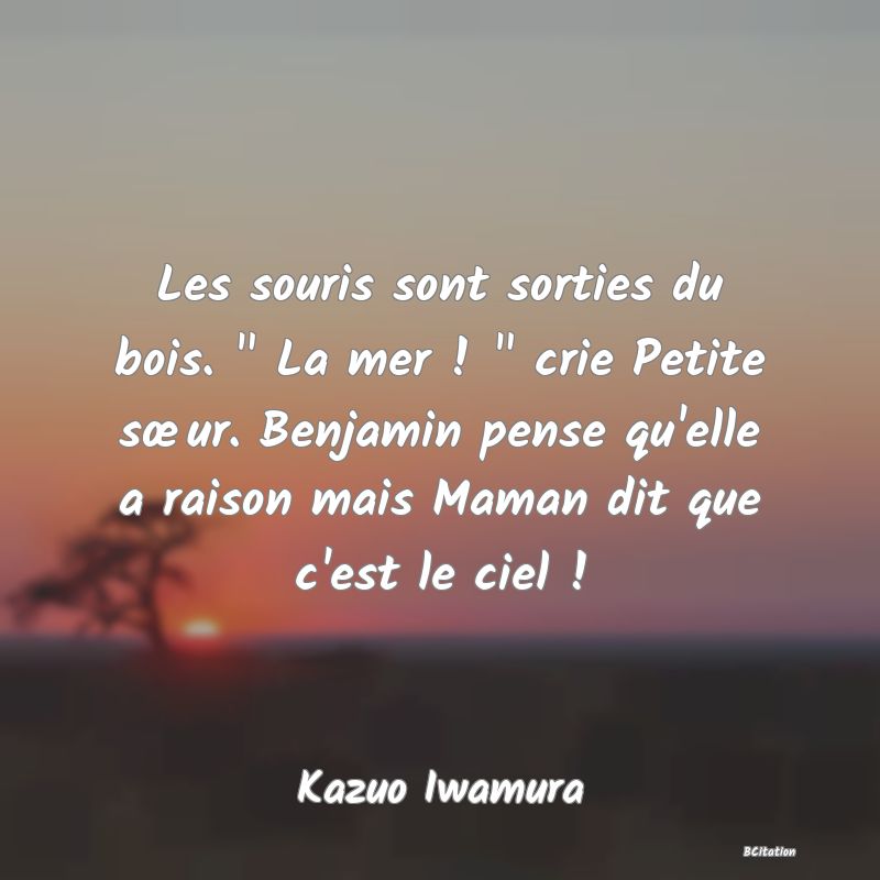 image de citation: Les souris sont sorties du bois.   La mer !   crie Petite sœur. Benjamin pense qu'elle a raison mais Maman dit que c'est le ciel !