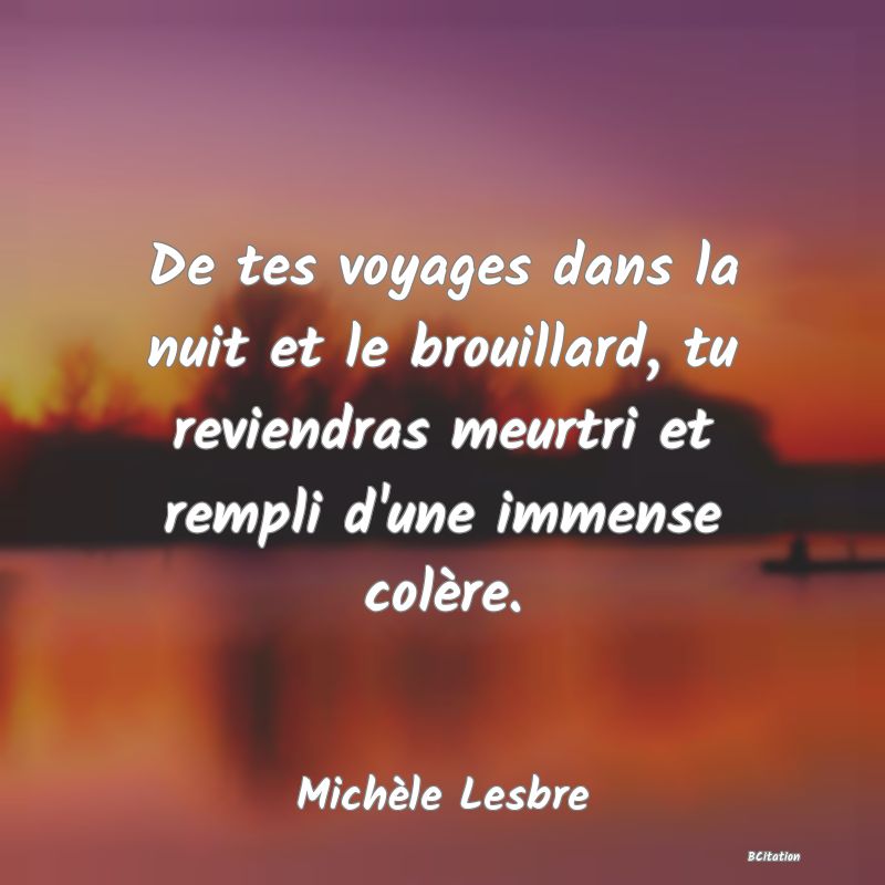 image de citation: De tes voyages dans la nuit et le brouillard, tu reviendras meurtri et rempli d'une immense colère.