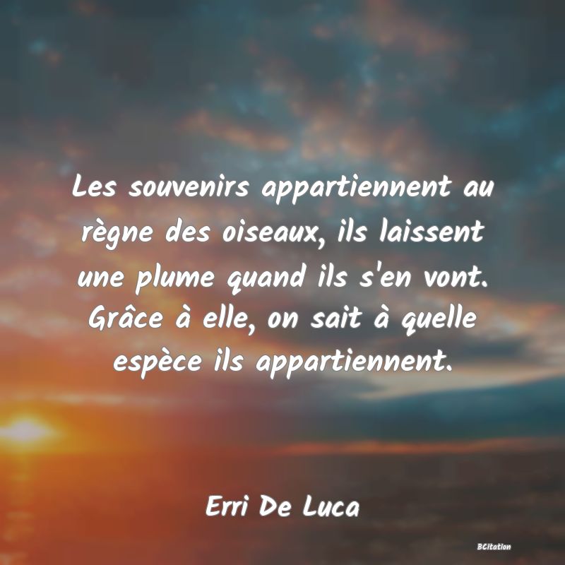 Belle Citation - Les souvenirs appartiennent au règne des oiseaux, ils laissent une plume quand ils s'en vont. Grâce à elle, on sait à quelle espèce ils appartiennent. - Erri De Luca