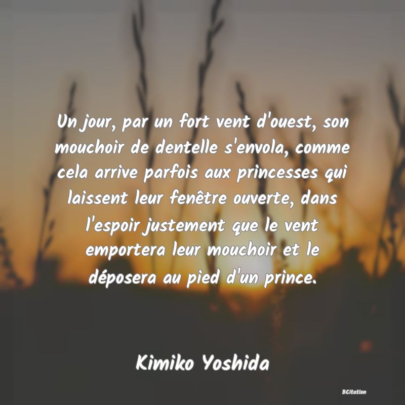 image de citation: Un jour, par un fort vent d'ouest, son mouchoir de dentelle s'envola, comme cela arrive parfois aux princesses qui laissent leur fenêtre ouverte, dans l'espoir justement que le vent emportera leur mouchoir et le déposera au pied d'un prince.