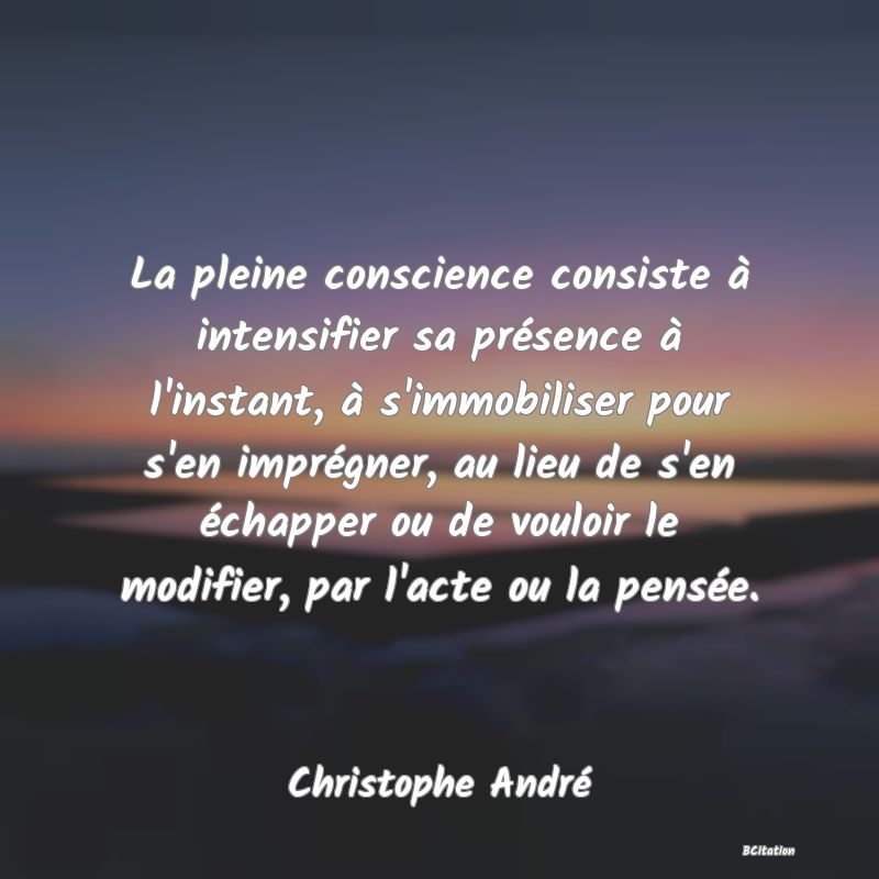 image de citation: La pleine conscience consiste à intensifier sa présence à l'instant, à s'immobiliser pour s'en imprégner, au lieu de s'en échapper ou de vouloir le modifier, par l'acte ou la pensée.