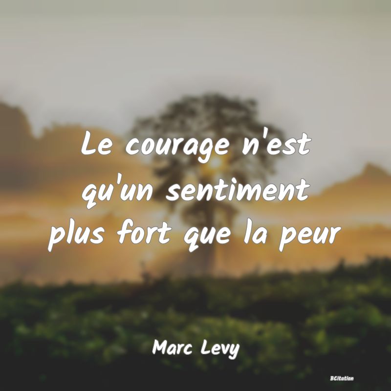 image de citation: Le courage n'est qu'un sentiment plus fort que la peur