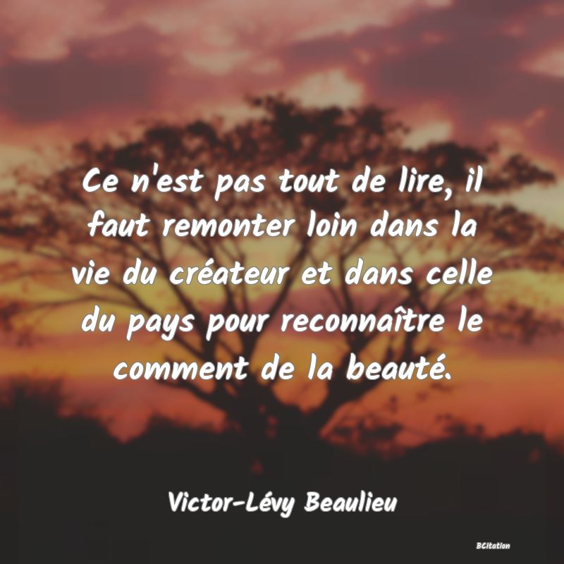 image de citation: Ce n'est pas tout de lire, il faut remonter loin dans la vie du créateur et dans celle du pays pour reconnaître le comment de la beauté.