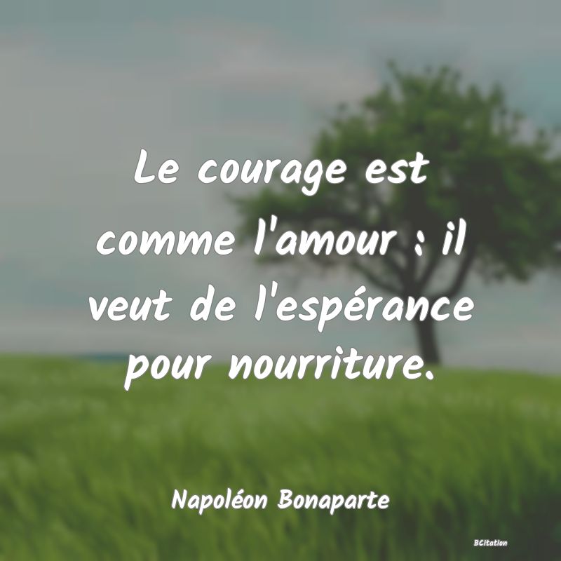 image de citation: Le courage est comme l'amour : il veut de l'espérance pour nourriture.