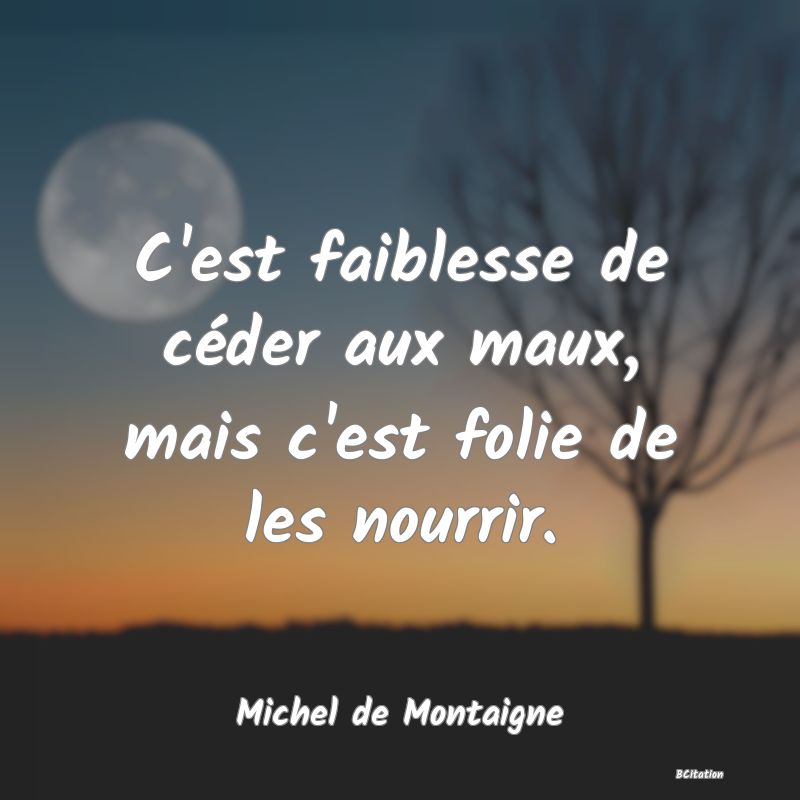 image de citation: C'est faiblesse de céder aux maux, mais c'est folie de les nourrir.