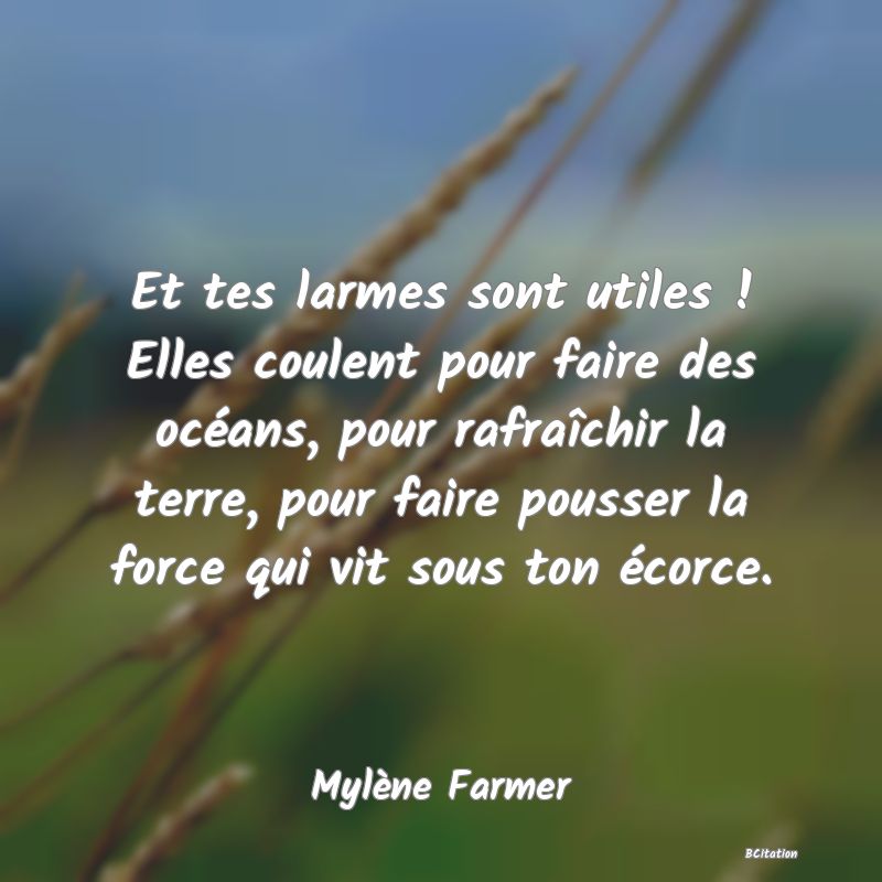 image de citation: Et tes larmes sont utiles ! Elles coulent pour faire des océans, pour rafraîchir la terre, pour faire pousser la force qui vit sous ton écorce.