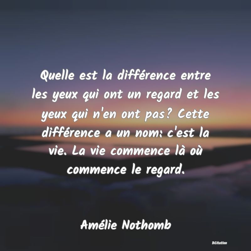 image de citation: Quelle est la différence entre les yeux qui ont un regard et les yeux qui n'en ont pas? Cette différence a un nom: c'est la vie. La vie commence là où commence le regard.