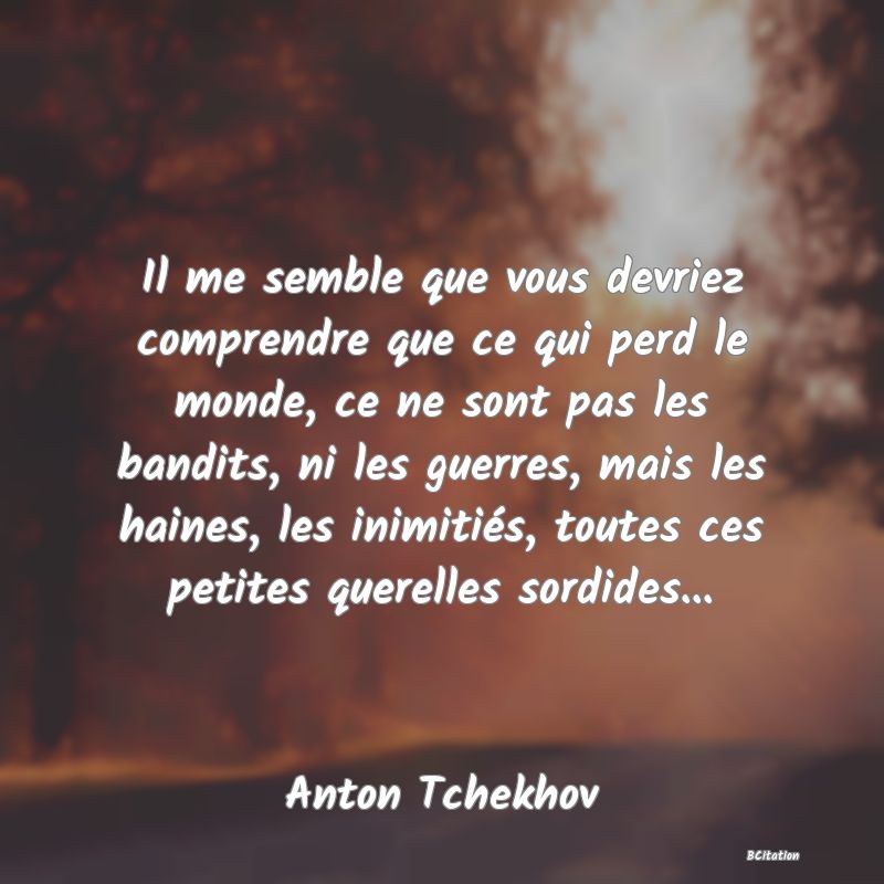 image de citation: Il me semble que vous devriez comprendre que ce qui perd le monde, ce ne sont pas les bandits, ni les guerres, mais les haines, les inimitiés, toutes ces petites querelles sordides...