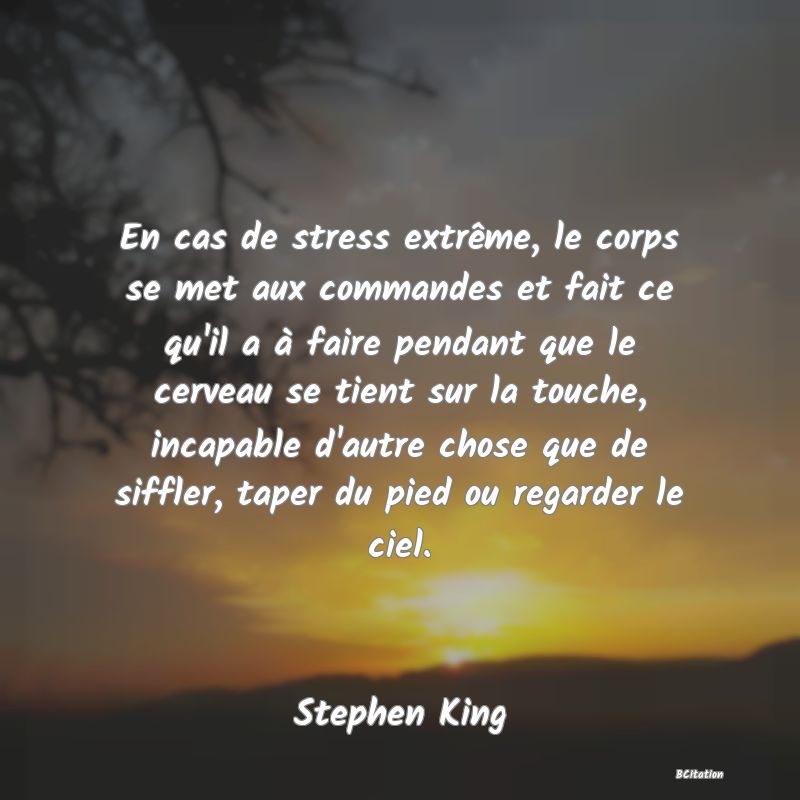 image de citation: En cas de stress extrême, le corps se met aux commandes et fait ce qu'il a à faire pendant que le cerveau se tient sur la touche, incapable d'autre chose que de siffler, taper du pied ou regarder le ciel.