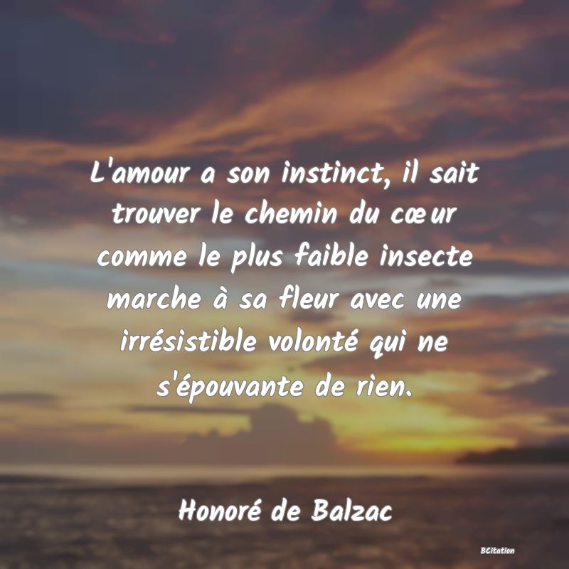 image de citation: L'amour a son instinct, il sait trouver le chemin du cœur comme le plus faible insecte marche à sa fleur avec une irrésistible volonté qui ne s'épouvante de rien.