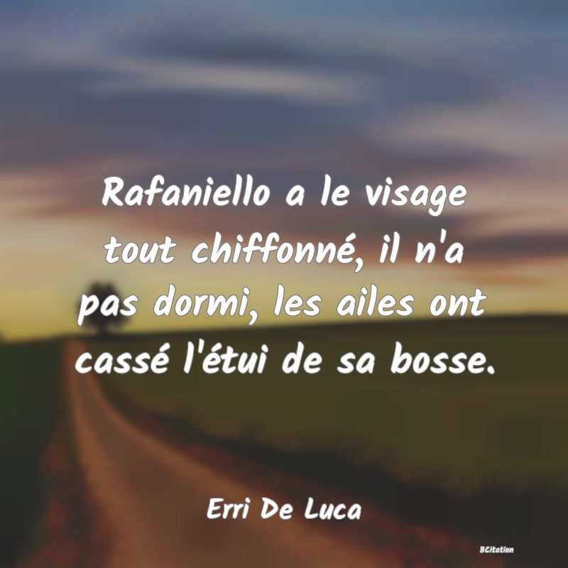 image de citation: Rafaniello a le visage tout chiffonné, il n'a pas dormi, les ailes ont cassé l'étui de sa bosse.