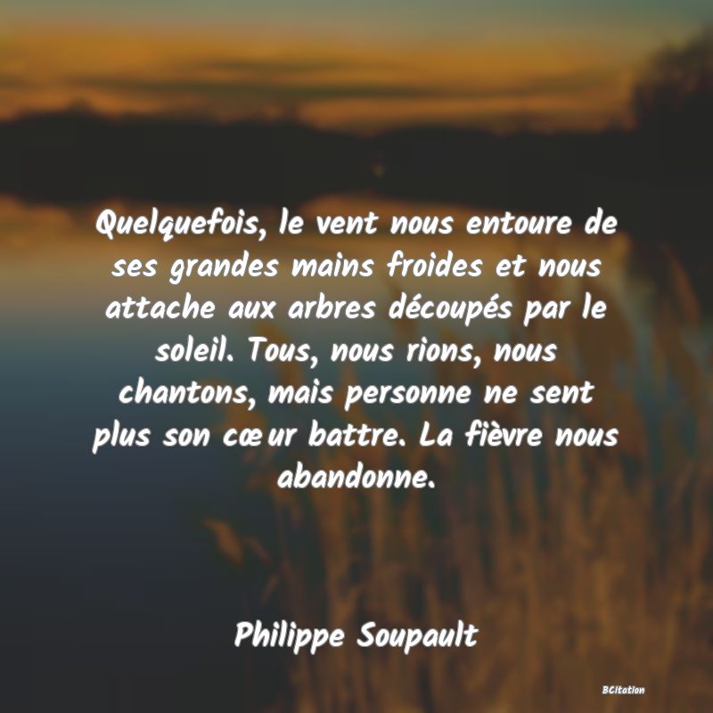 image de citation: Quelquefois, le vent nous entoure de ses grandes mains froides et nous attache aux arbres découpés par le soleil. Tous, nous rions, nous chantons, mais personne ne sent plus son cœur battre. La fièvre nous abandonne.