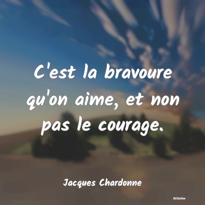 image de citation: C'est la bravoure qu'on aime, et non pas le courage.
