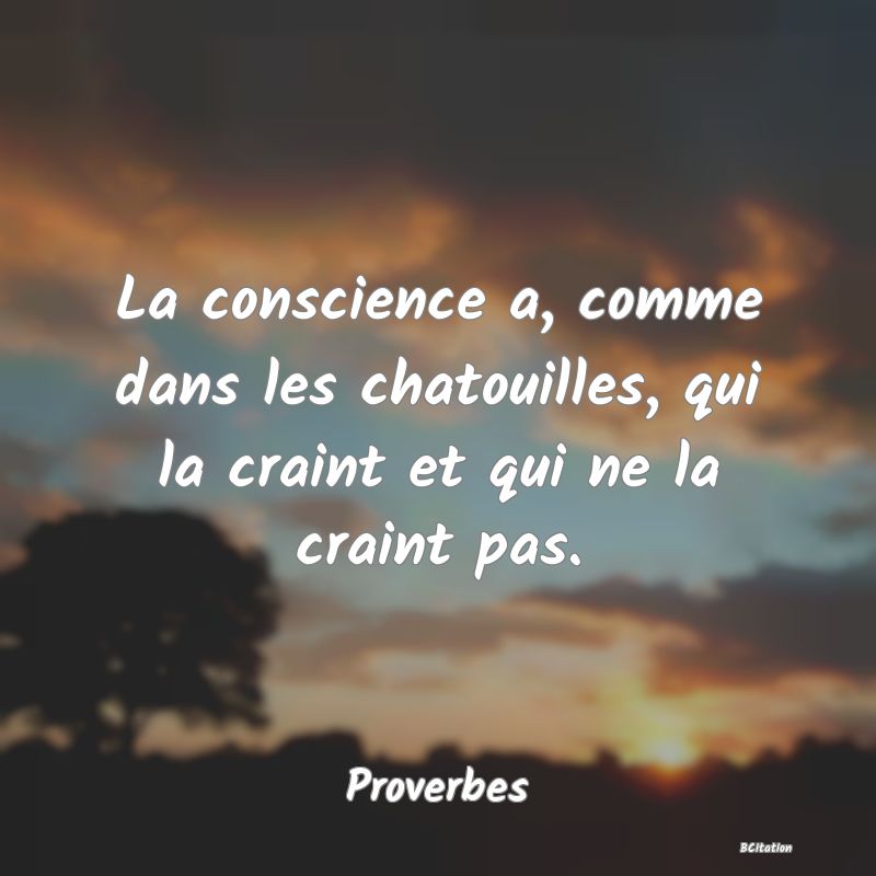 image de citation: La conscience a, comme dans les chatouilles, qui la craint et qui ne la craint pas.