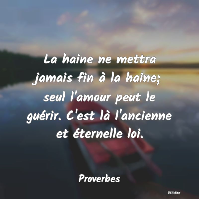 image de citation: La haine ne mettra jamais fin à la haine; seul l'amour peut le guérir. C'est là l'ancienne et éternelle loi.