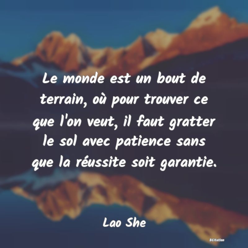 image de citation: Le monde est un bout de terrain, où pour trouver ce que l'on veut, il faut gratter le sol avec patience sans que la réussite soit garantie.