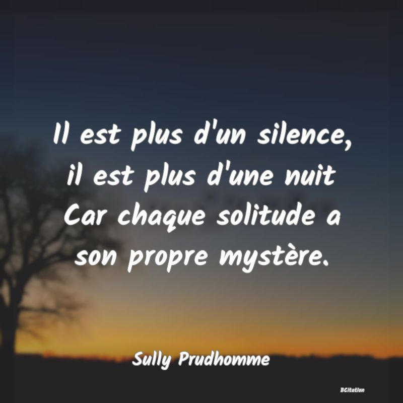 image de citation: Il est plus d'un silence, il est plus d'une nuit Car chaque solitude a son propre mystère.