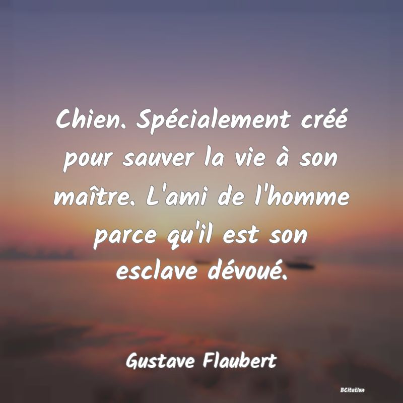 image de citation: Chien. Spécialement créé pour sauver la vie à son maître. L'ami de l'homme parce qu'il est son esclave dévoué.