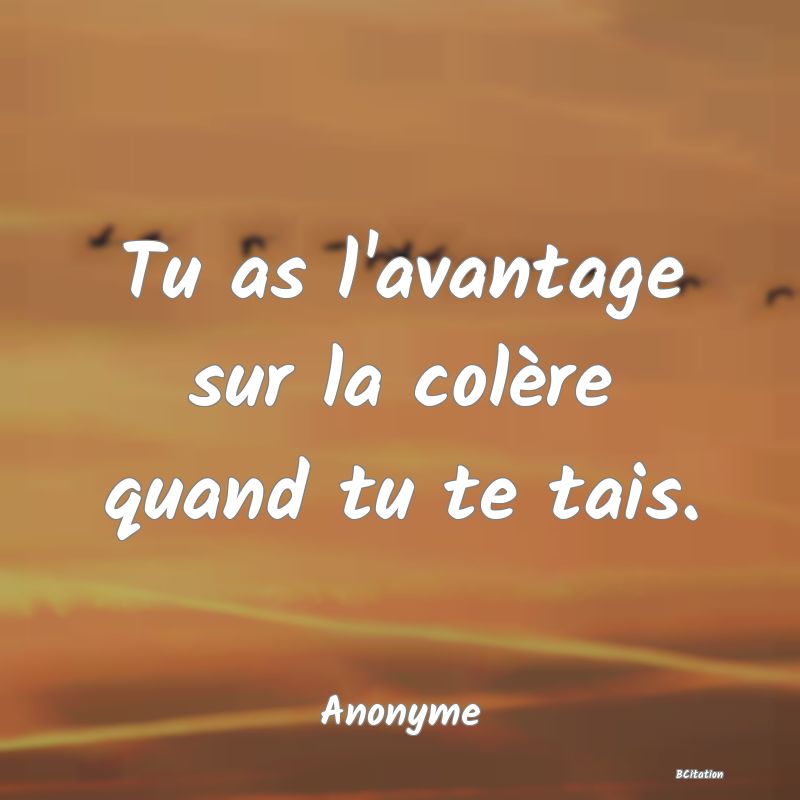 Belle Citation - Tu as l'avantage sur la colère quand tu te tais. - Anonyme
